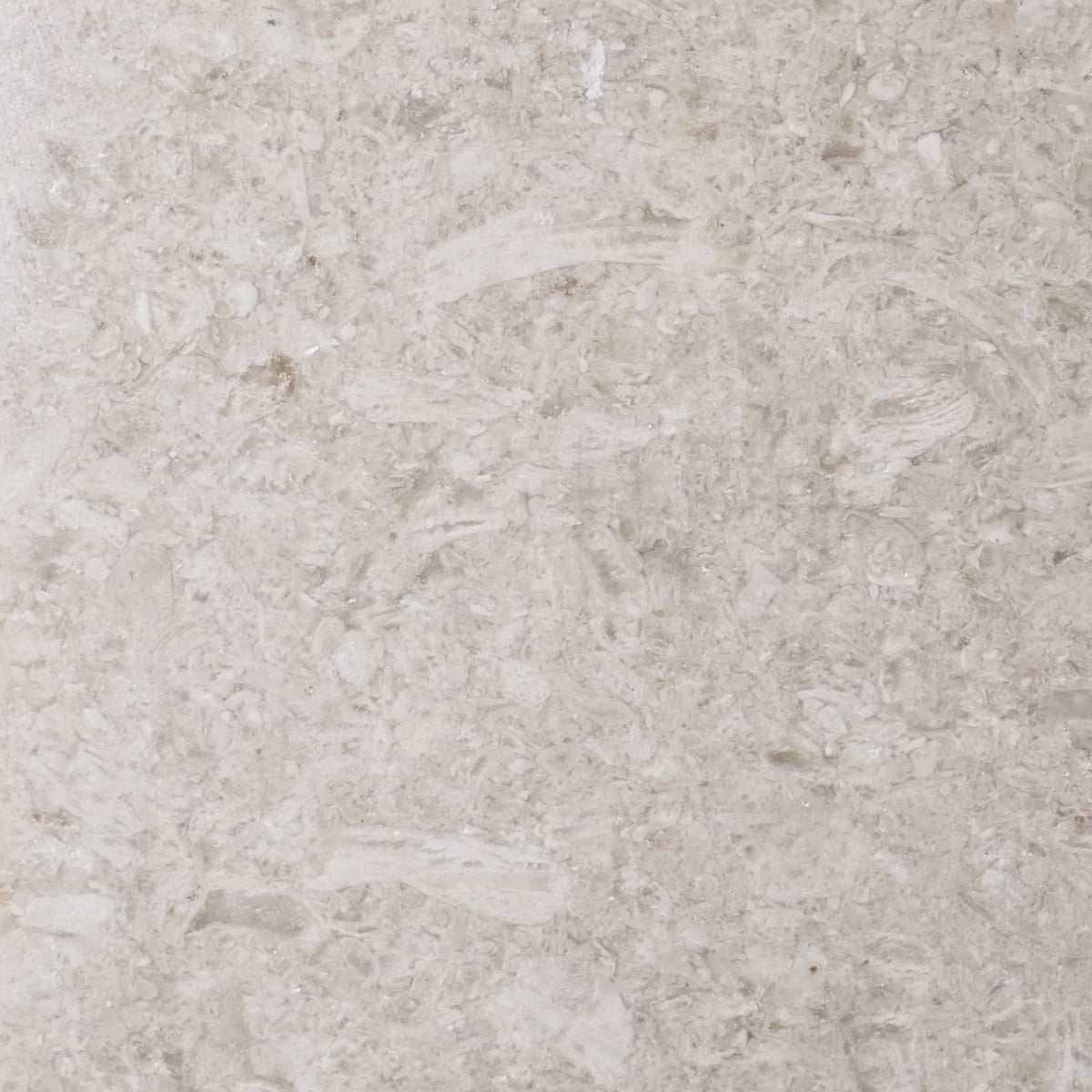 The Marble Pearl ⚬ Botticino_Polished_12x12_8112f  main image 4