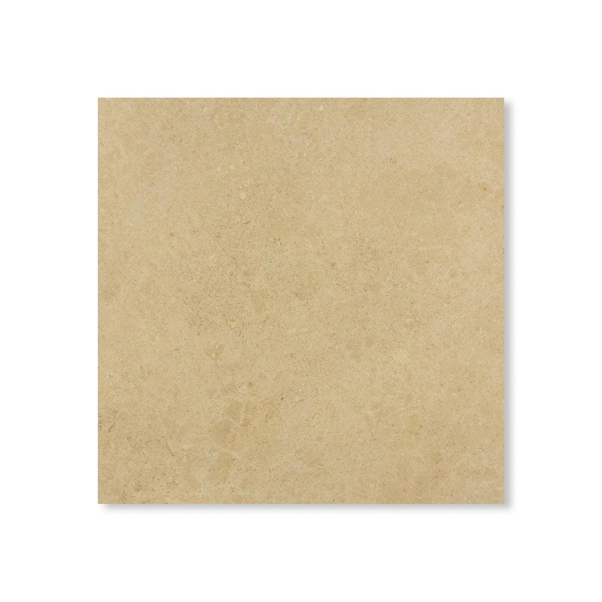 tan Latte Travertine square