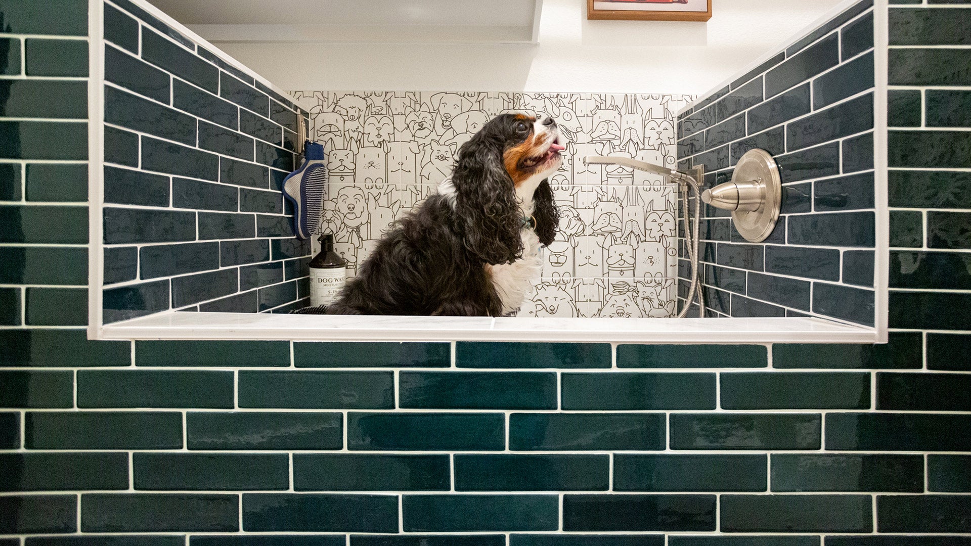 Pet shower stall with Wizard Ceramic Tile Desktop