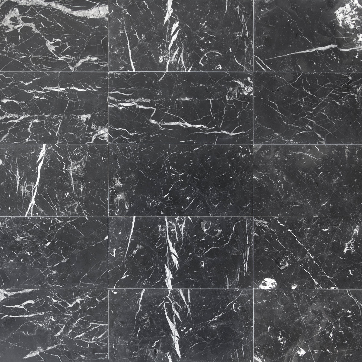 Nero Marquina shown in 12x24”. Main Product Slider View