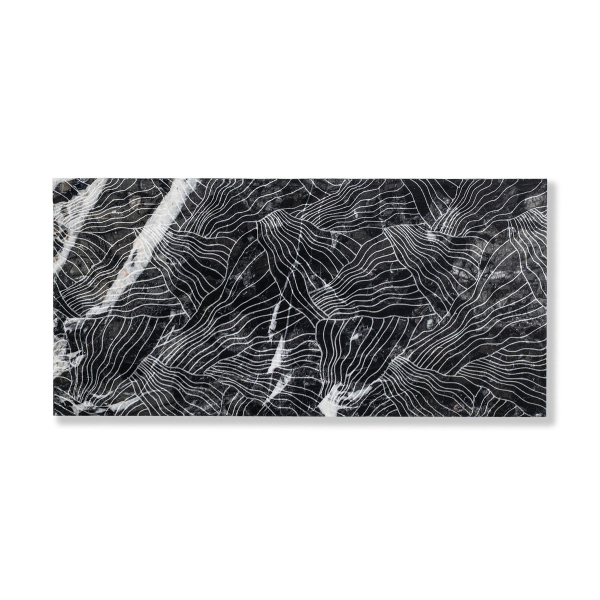 Kelp shown in Obsidian Marble