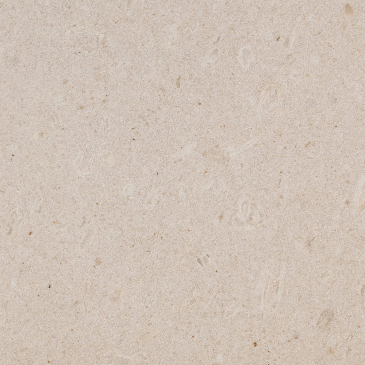 Perla Blanca Marble