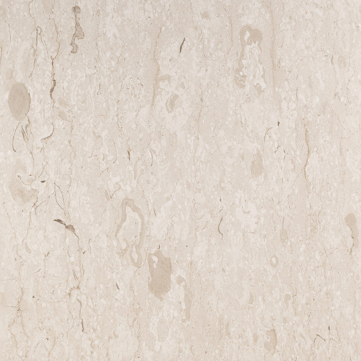 Perlatino Royal Marble