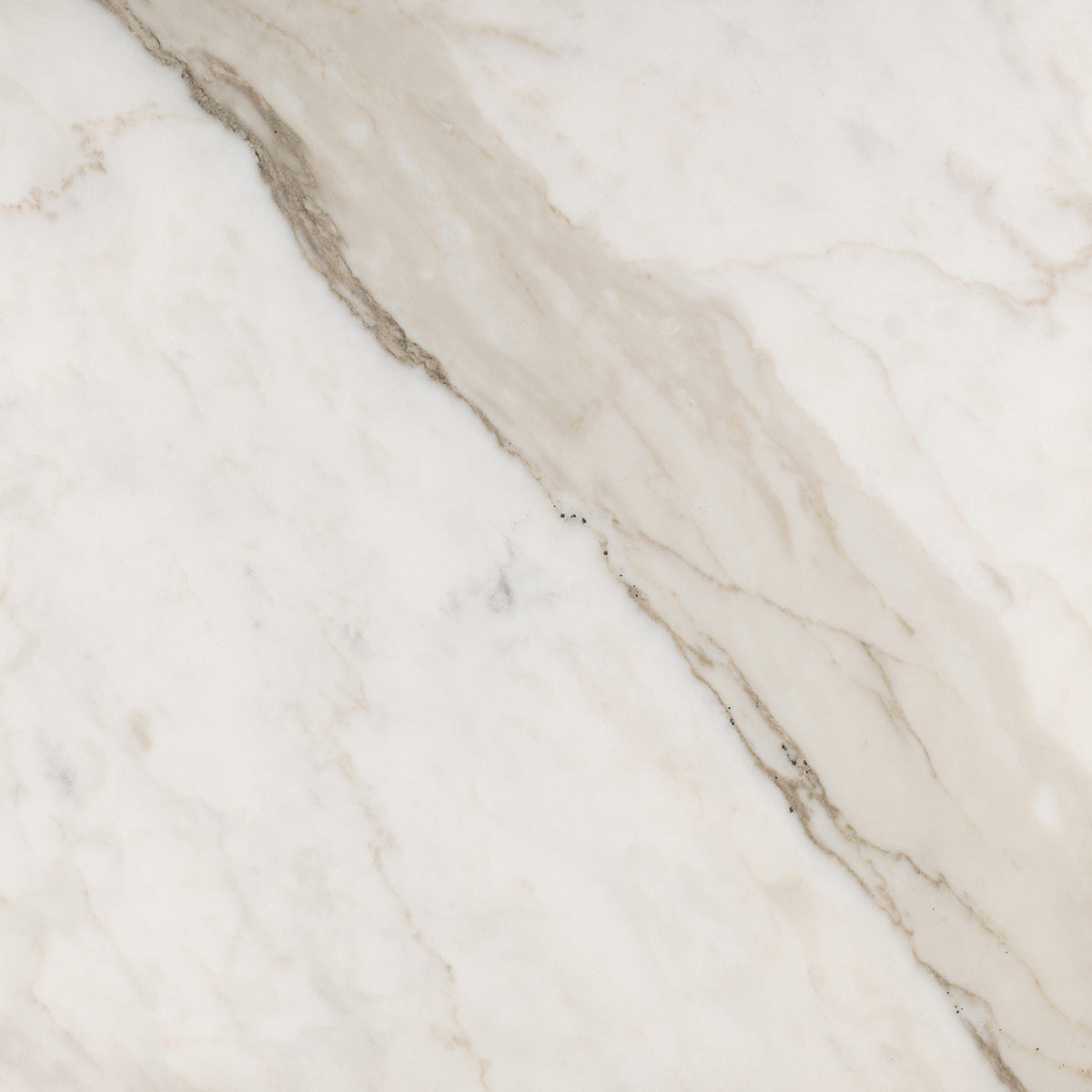 Calacatta Cremo