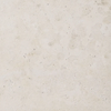 White Limestone color swatch