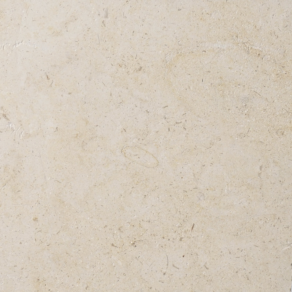 Limestone Texture Seamless